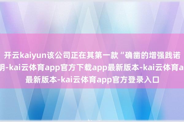 开云kaiyun该公司正在其第一款“确凿的增强践诺居品”上获得阐明-kai云体育app官方下载app最新版本-kai云体育app官方登录入口