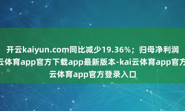 开云kaiyun.com同比减少19.36%；归母净利润-22-kai云体育app官方下载app最新版本-kai云体育app官方登录入口