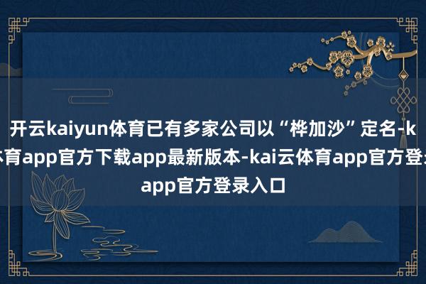 开云kaiyun体育已有多家公司以“桦加沙”定名-kai云体育app官方下载app最新版本-kai云体育app官方登录入口