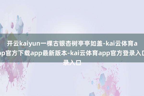 开云kaiyun一棵古银杏树亭亭如盖-kai云体育app官方下载app最新版本-kai云体育app官方登录入口